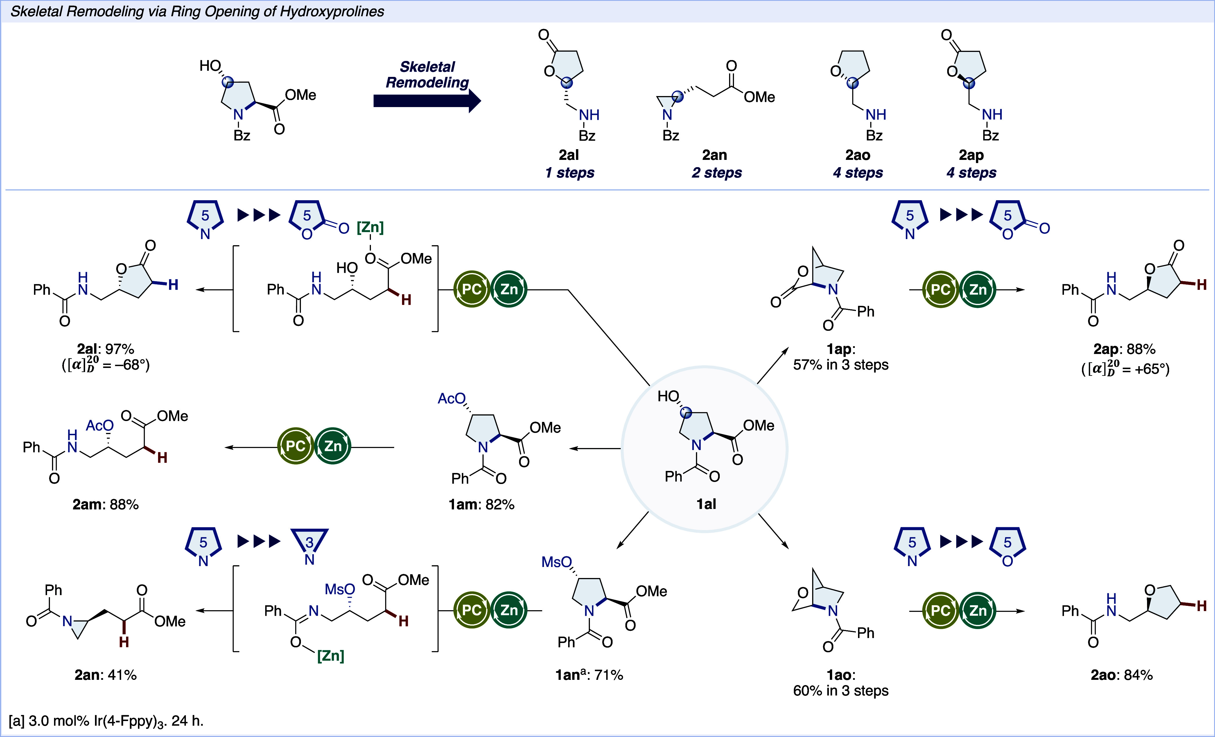 Scheme 3