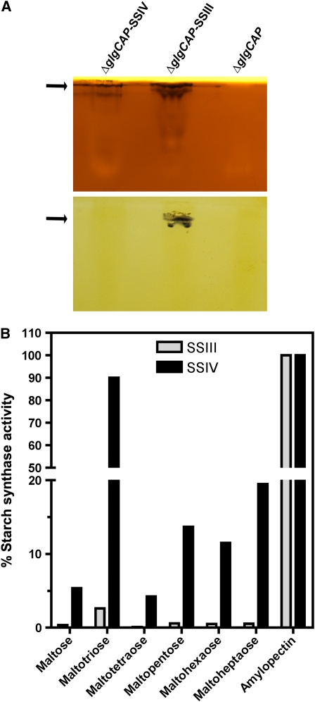 Figure 9.