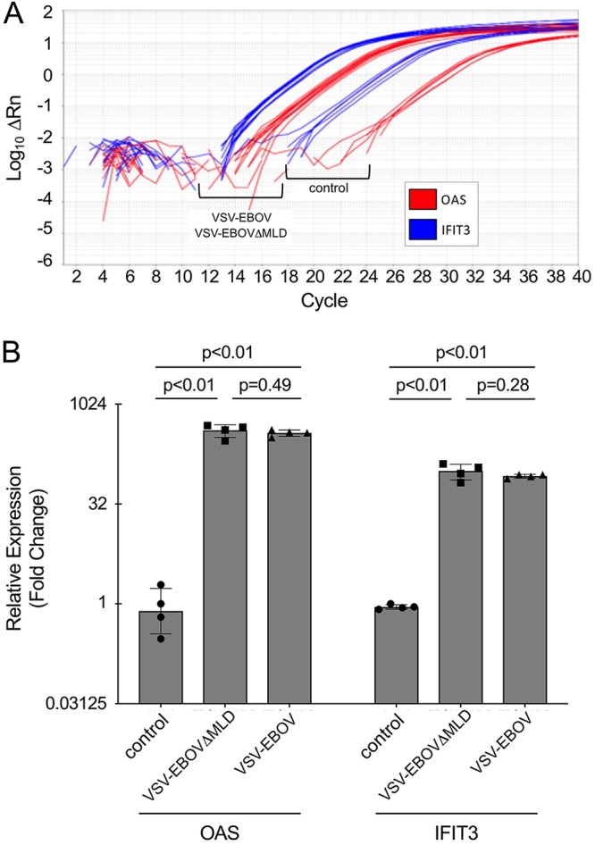 FIG 13