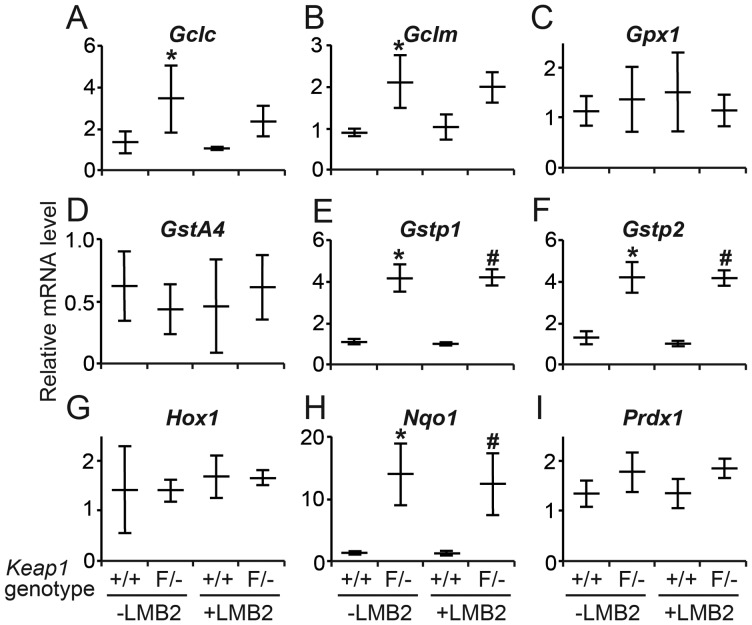 FIGURE 3: