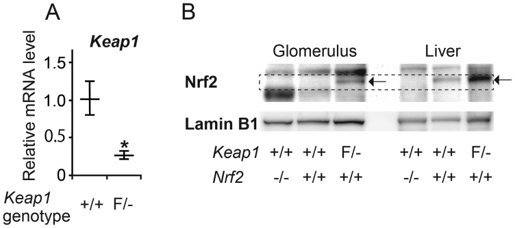 FIGURE 2: