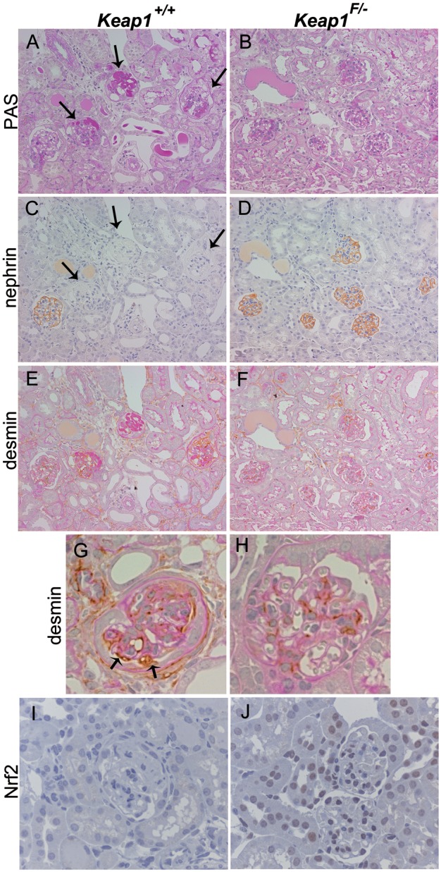 FIGURE 5: