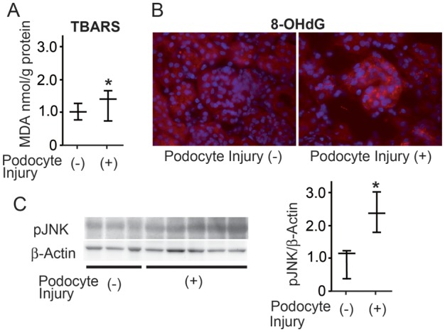 FIGURE 1: