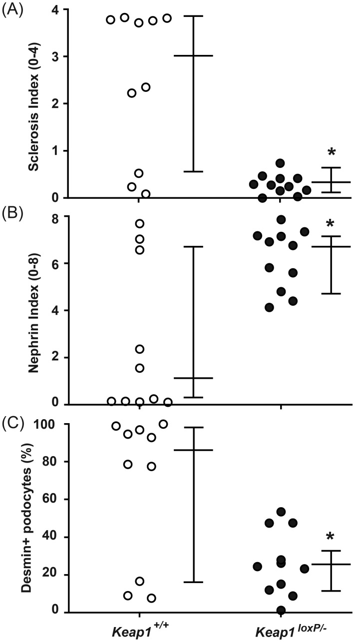 FIGURE 6: