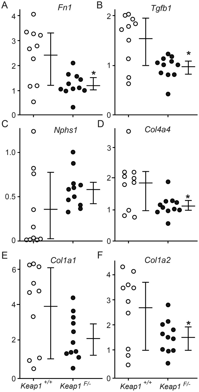 FIGURE 7: