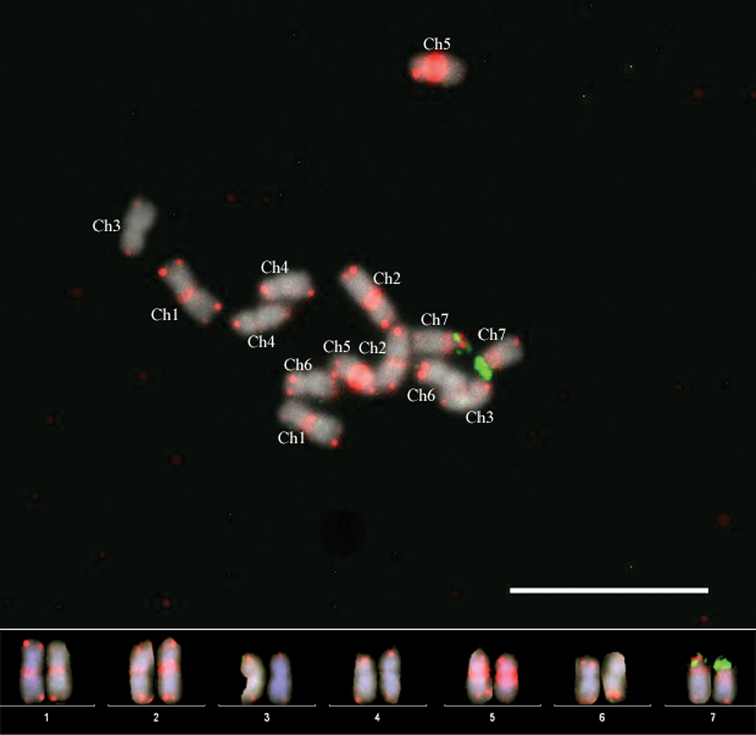 Figure 2.