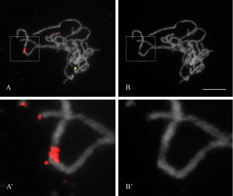 Figure 4.