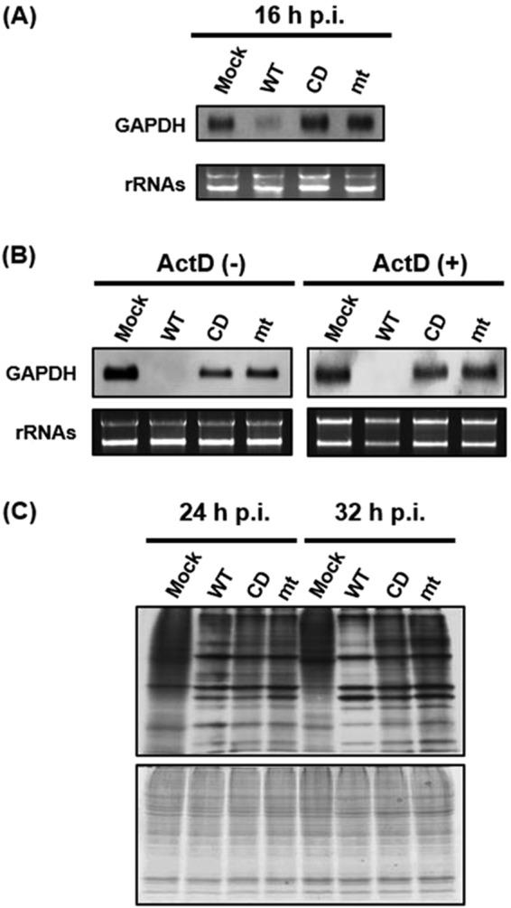 FIG 3