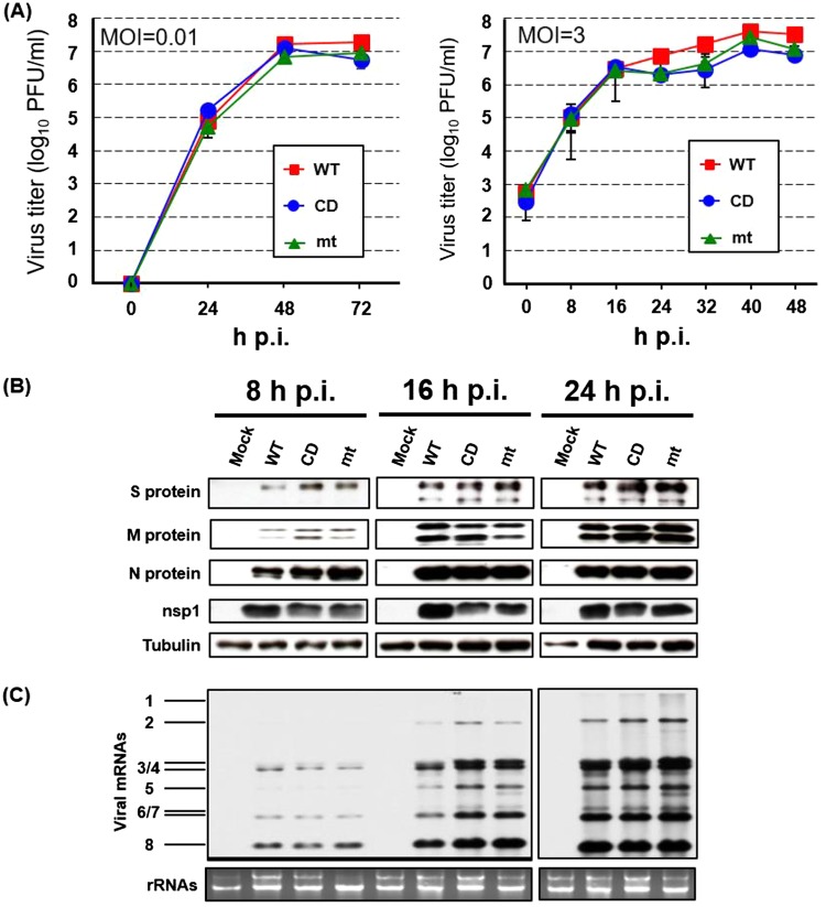 FIG 2