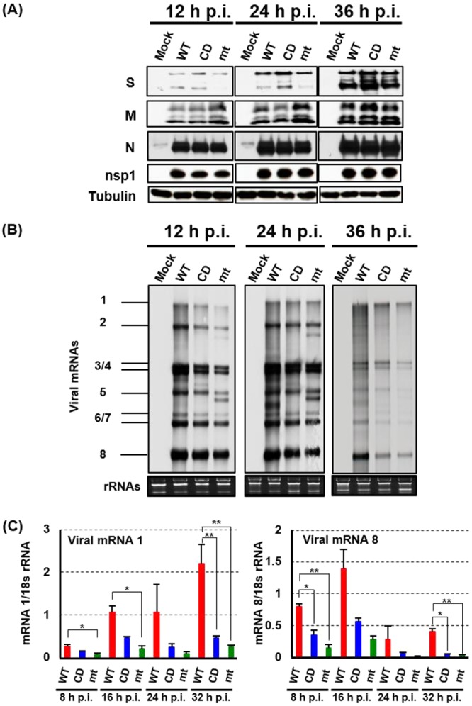 FIG 6