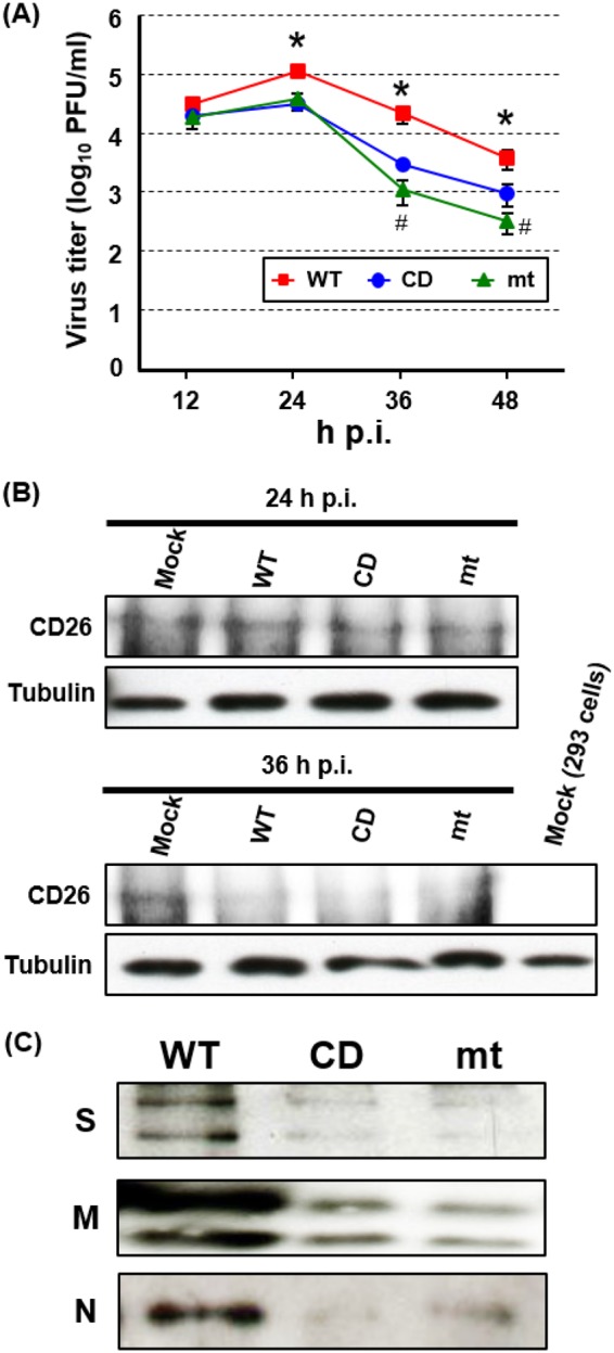 FIG 8