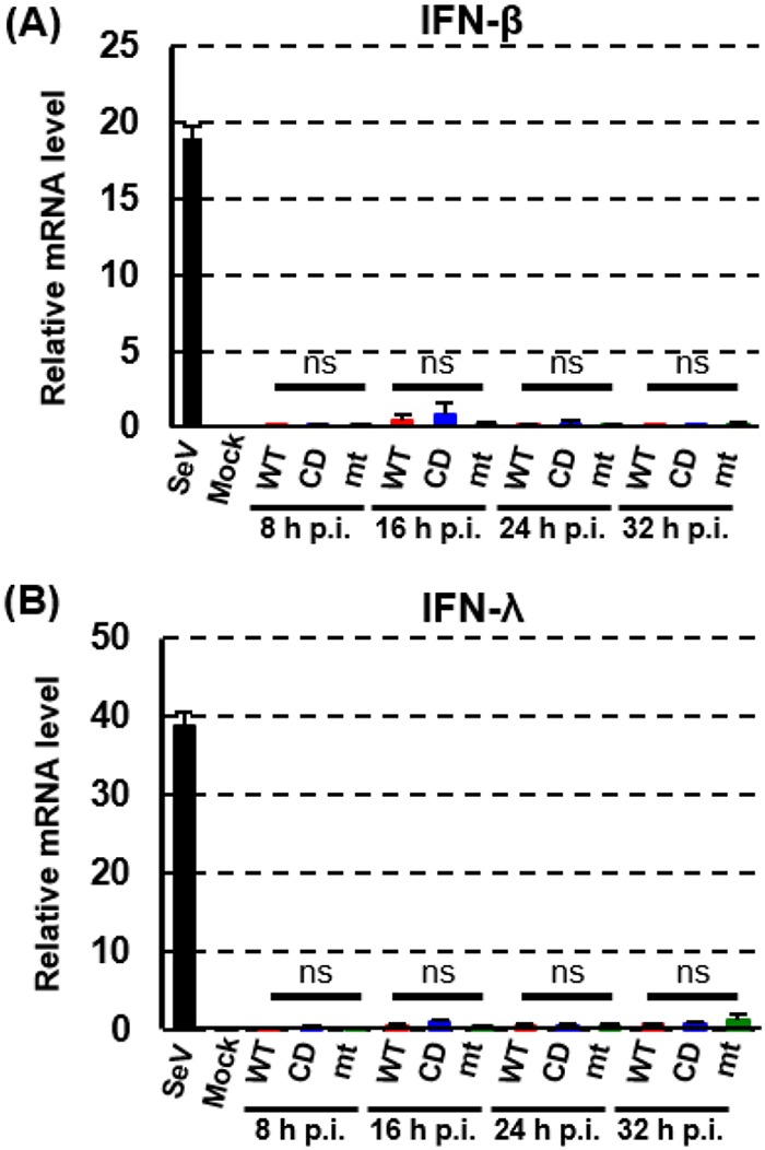 FIG 5