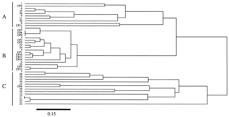 FIG. 3.