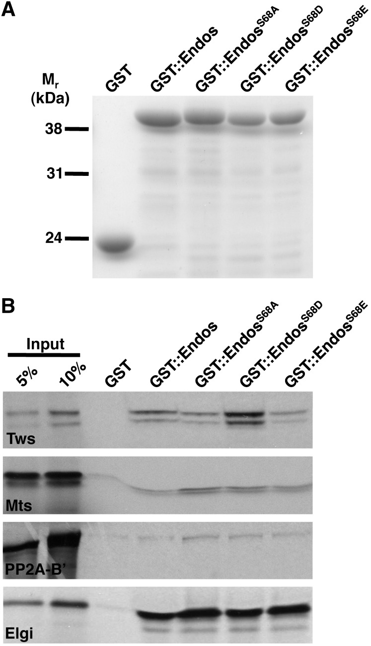 Figure 6 