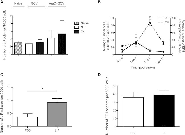 Figure 6