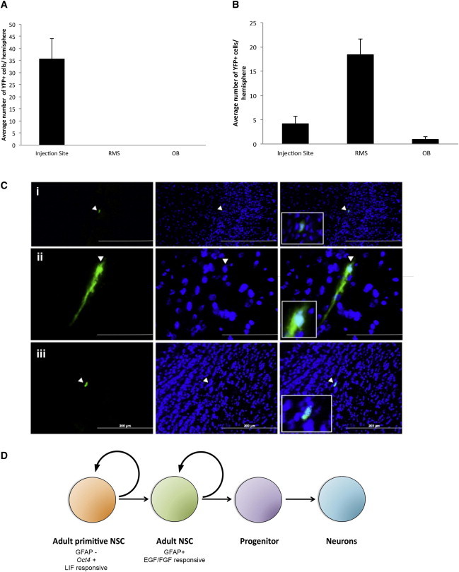 Figure 7