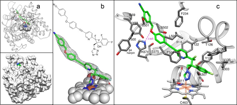 FIG 3