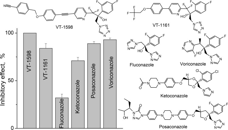 FIG 2