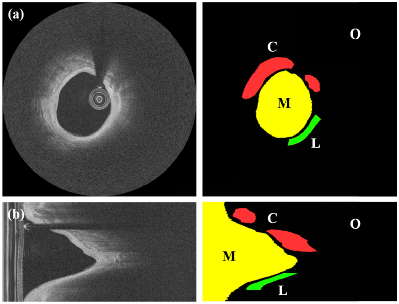 Fig. 2.