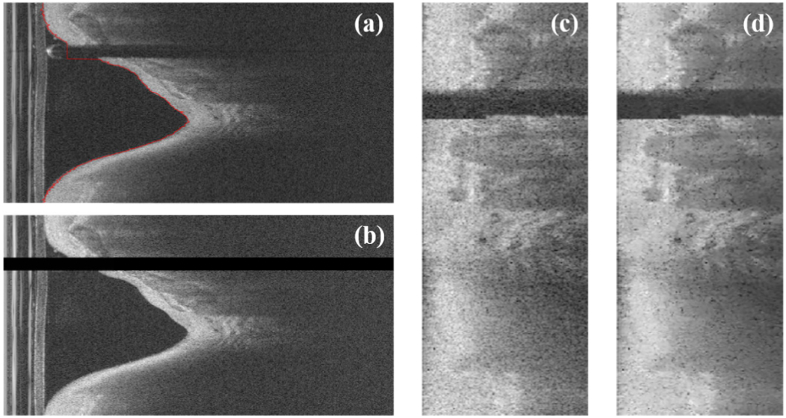 Fig. 4.