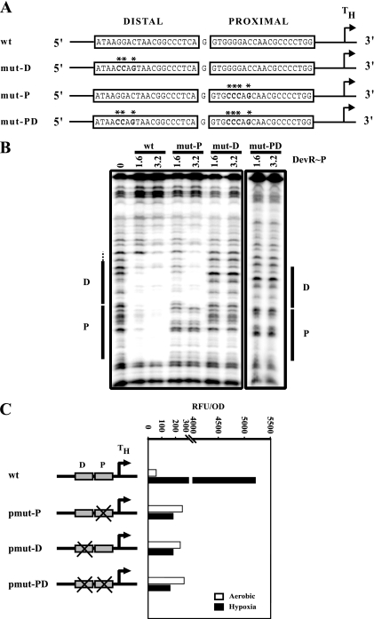 FIG. 6.