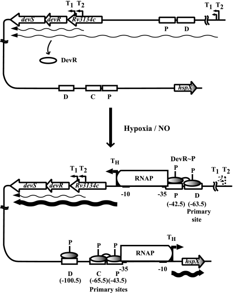 FIG. 8.