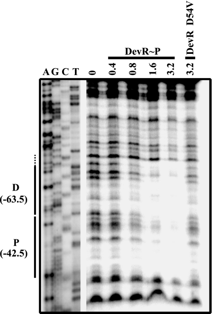 FIG. 5.