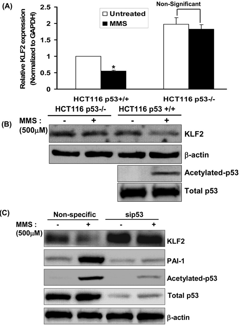 Figure-3