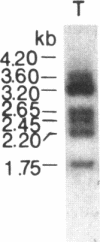137