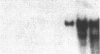 137