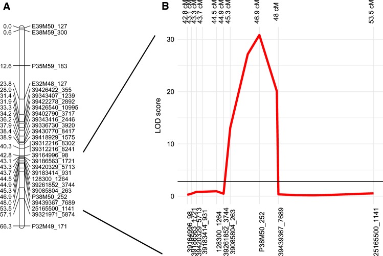 Fig. 2