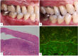 Figure 5