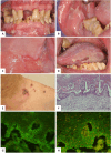Figure 2