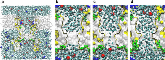 FIGURE 2