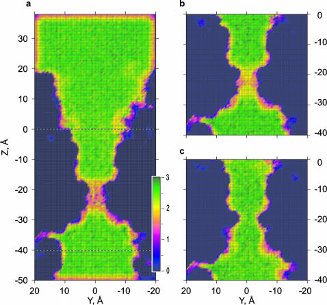 FIGURE 5