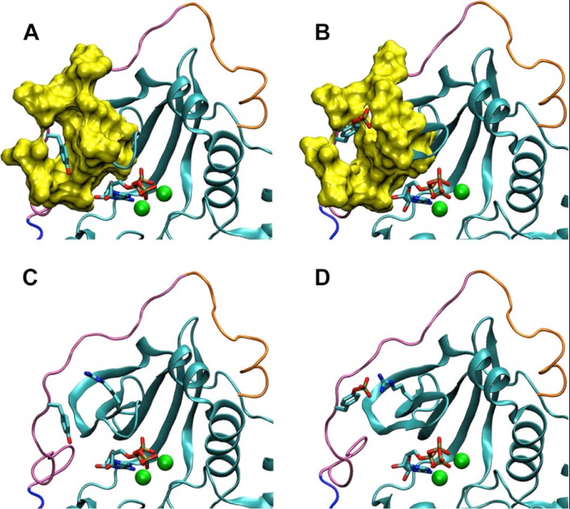 FIGURE 5.