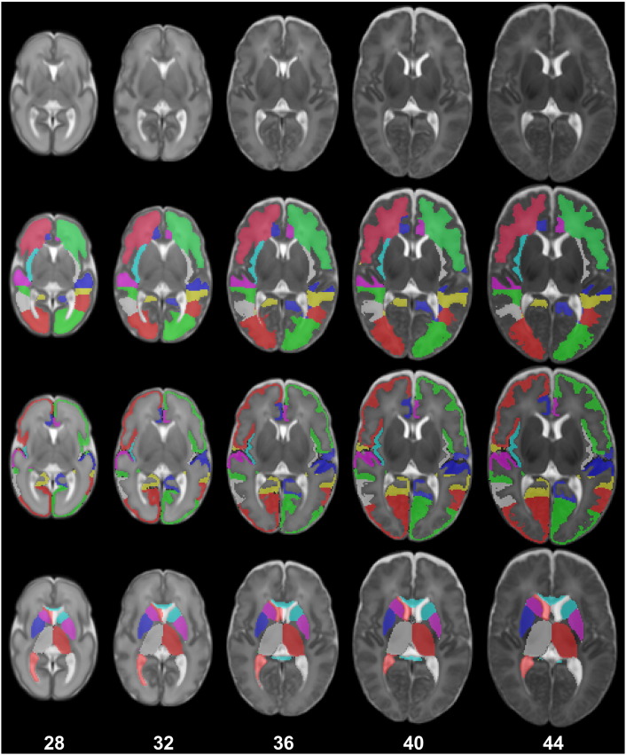 Fig. 9