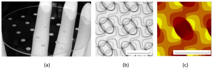 Fig. 7