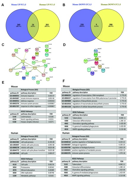 Figure 11. 