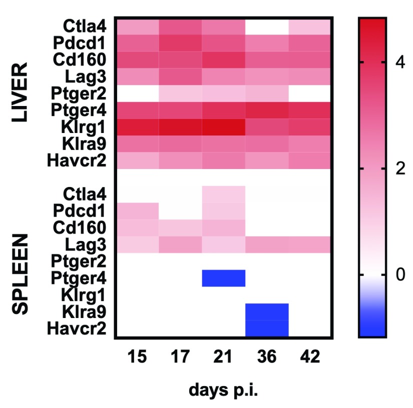 Figure 10. 