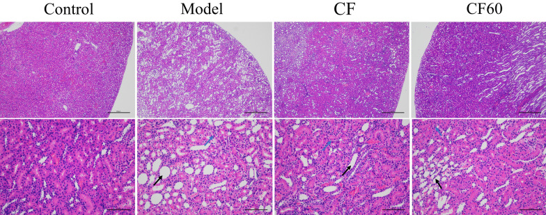 Fig.2