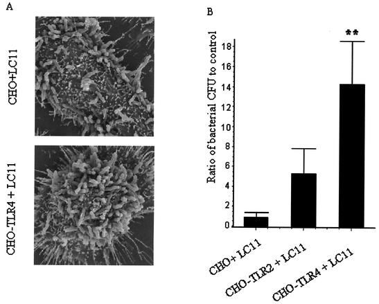 FIG. 7.