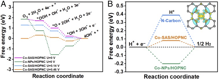 Fig. 6.