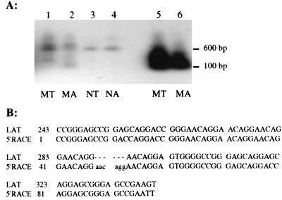 FIG. 7