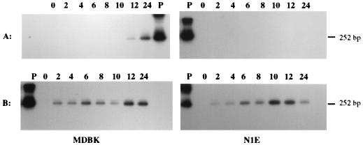 FIG. 8