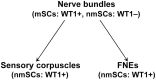 Figure 11.