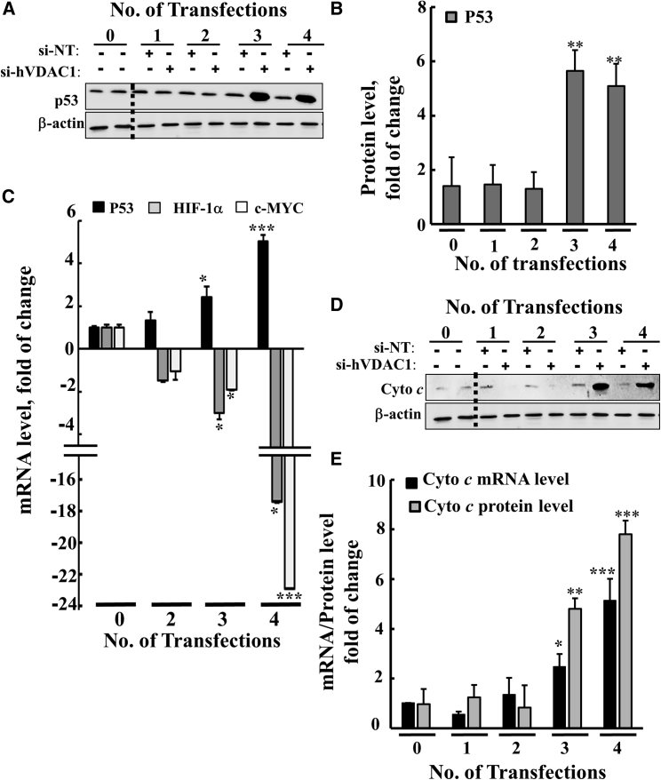 Figure 5