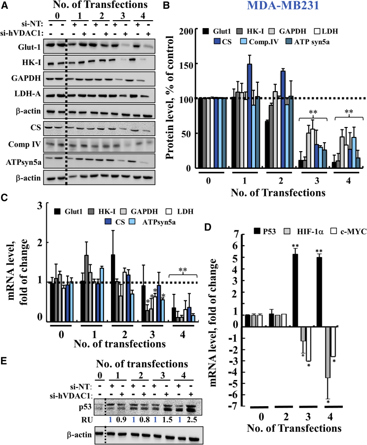 Figure 7