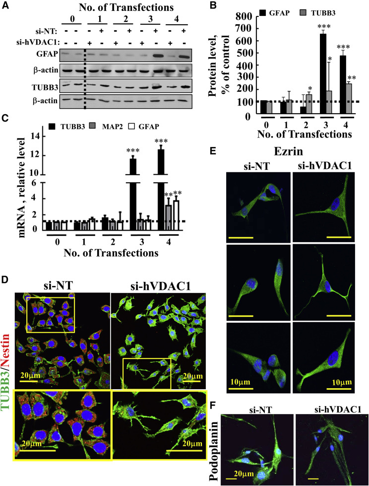 Figure 4