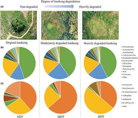 graphic file with name ECE3-12-e9615-g003.jpg